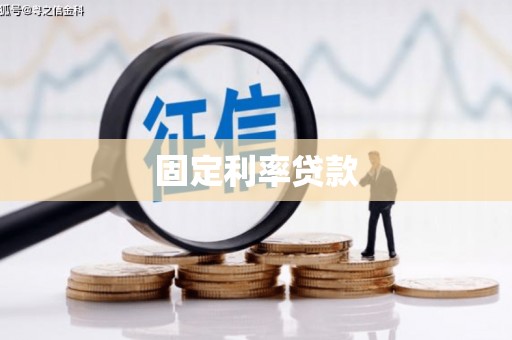 岳塘固定利率贷款