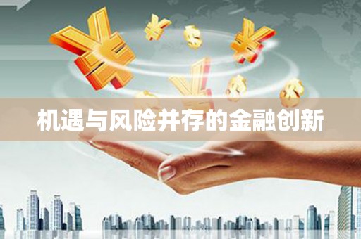 岳塘机遇与风险并存的金融创新