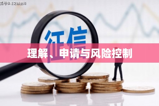 岳塘理解、申请与风险控制