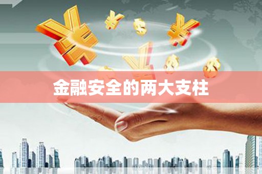岳塘金融安全的两大支柱