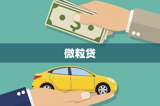 岳塘微粒贷
