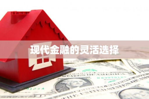 岳塘现代金融的灵活选择