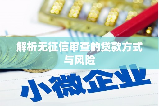 岳塘解析无征信审查的贷款方式与风险