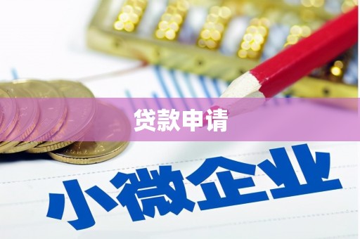 岳塘贷款申请