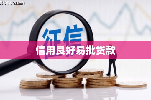 岳塘信用良好易批贷款