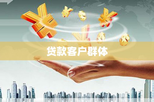 岳塘贷款客户群体
