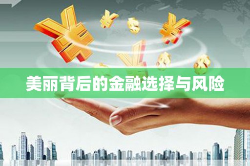 岳塘美丽背后的金融选择与风险