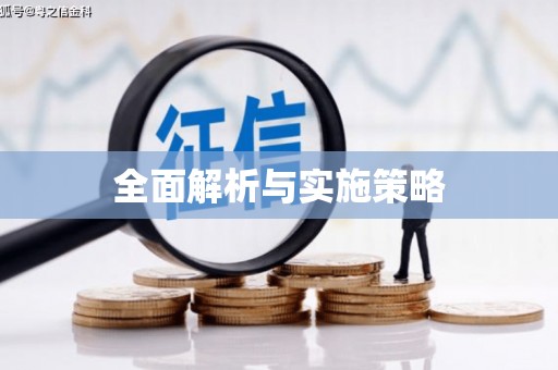 岳塘全面解析与实施策略