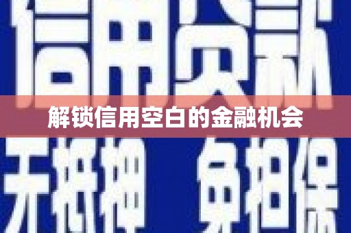 岳塘解锁信用空白的金融机会