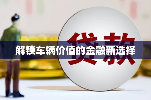 岳塘解锁车辆价值的金融新选择