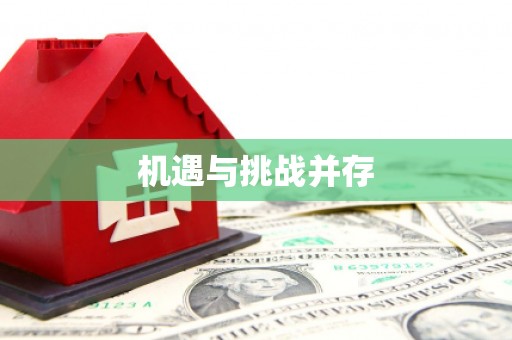 岳塘机遇与挑战并存