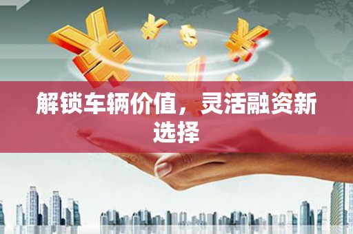 岳塘解锁车辆价值，灵活融资新选择
