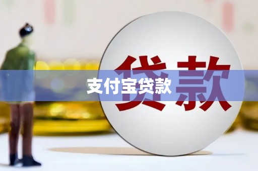 岳塘支付宝贷款