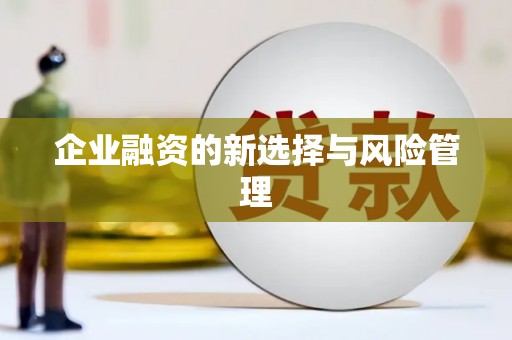 岳塘企业融资的新选择与风险管理