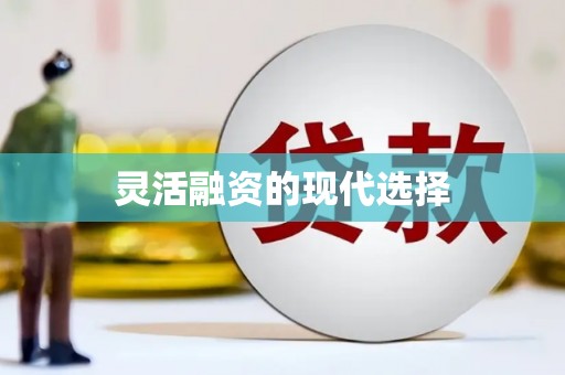 岳塘灵活融资的现代选择