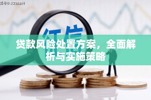 岳塘贷款风险处置方案，全面解析与实施策略