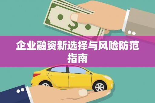 岳塘企业融资新选择与风险防范指南