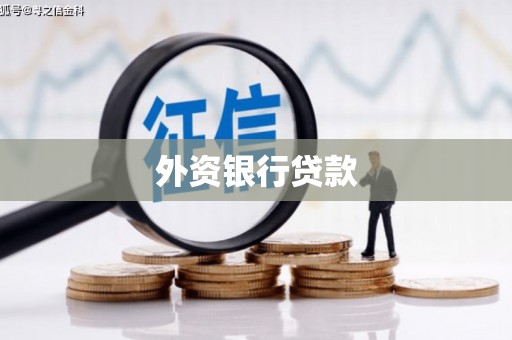 岳塘外资银行贷款