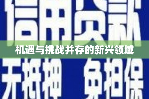 岳塘机遇与挑战并存的新兴领域