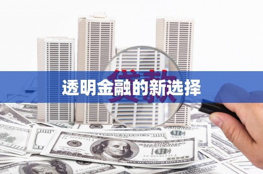 岳塘透明金融的新选择