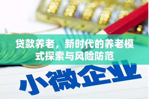 岳塘贷款养老，新时代的养老模式探索与风险防范
