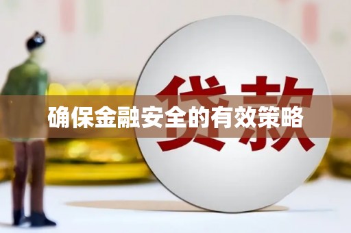 岳塘确保金融安全的有效策略