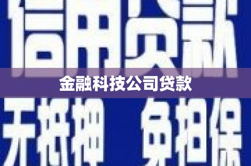 岳塘金融科技公司贷款