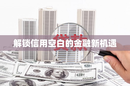 岳塘解锁信用空白的金融新机遇