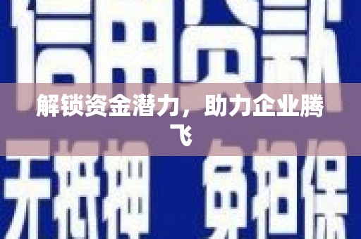 岳塘解锁资金潜力，助力企业腾飞