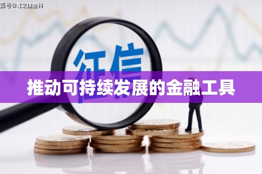 岳塘推动可持续发展的金融工具