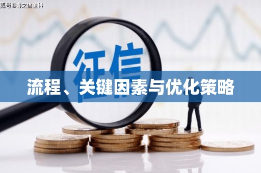 岳塘流程、关键因素与优化策略