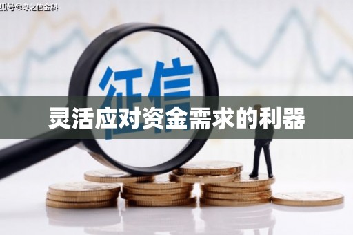 岳塘灵活应对资金需求的利器