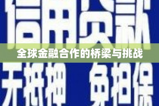 岳塘全球金融合作的桥梁与挑战