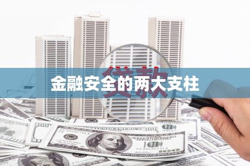 岳塘金融安全的两大支柱