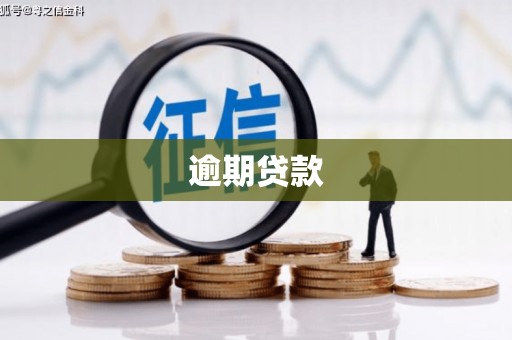 岳塘逾期贷款