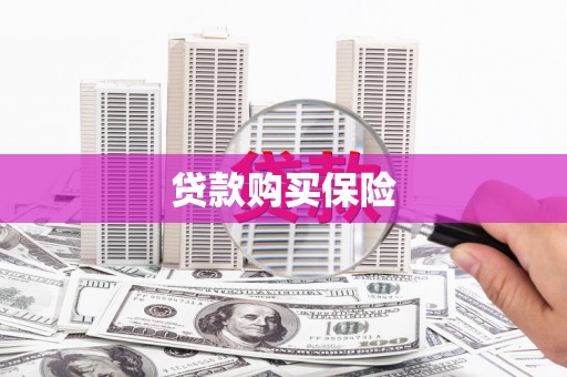 岳塘贷款购买保险