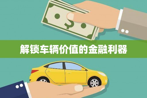 岳塘解锁车辆价值的金融利器