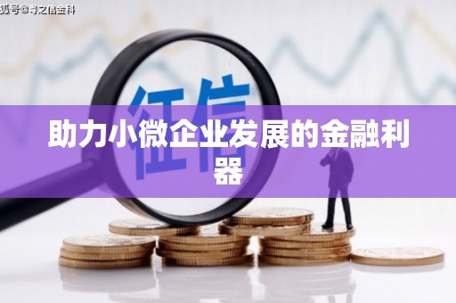 岳塘助力小微企业发展的金融利器