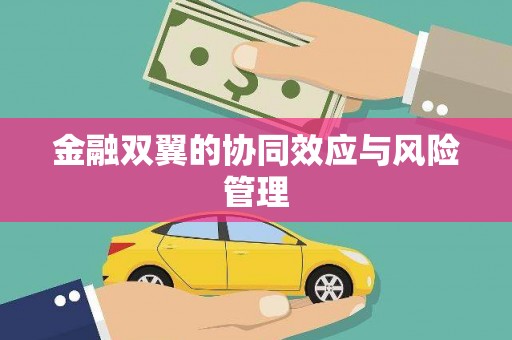 岳塘金融双翼的协同效应与风险管理
