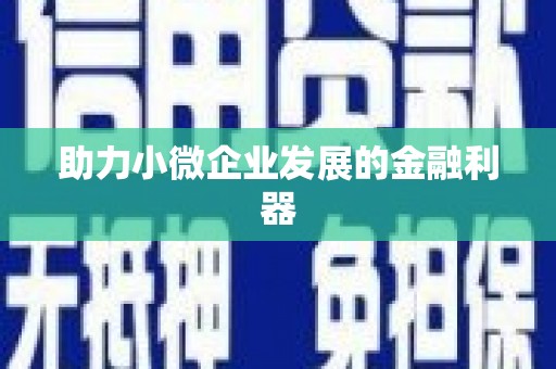 岳塘助力小微企业发展的金融利器