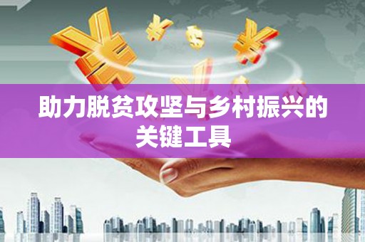 岳塘助力脱贫攻坚与乡村振兴的关键工具
