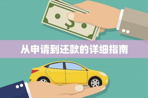 岳塘从申请到还款的详细指南