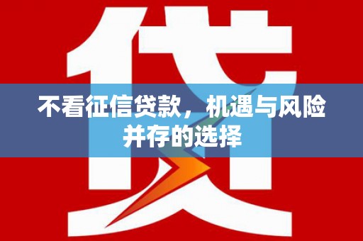 岳塘不看征信贷款，机遇与风险并存的选择