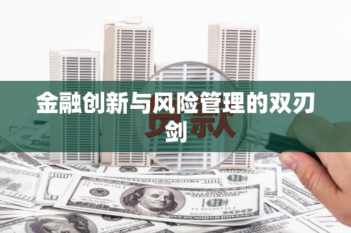 岳塘金融创新与风险管理的双刃剑