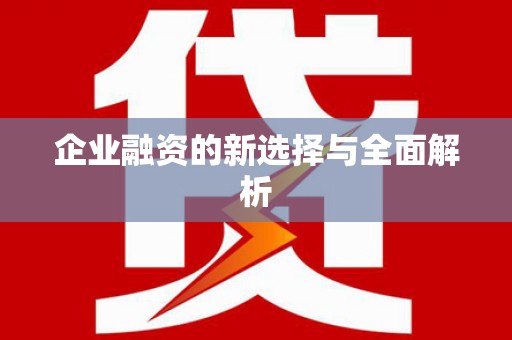 岳塘企业融资的新选择与全面解析