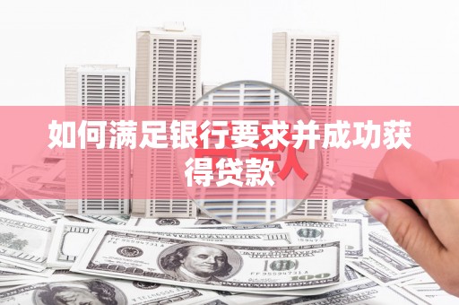 岳塘如何满足银行要求并成功获得贷款