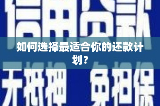 岳塘如何选择最适合你的还款计划？