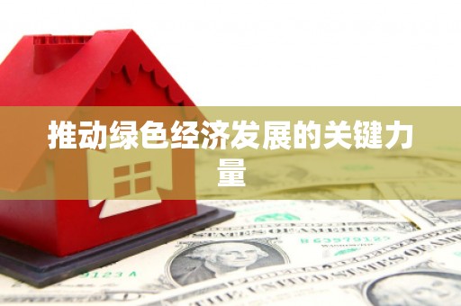 岳塘推动绿色经济发展的关键力量