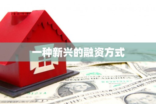 岳塘一种新兴的融资方式