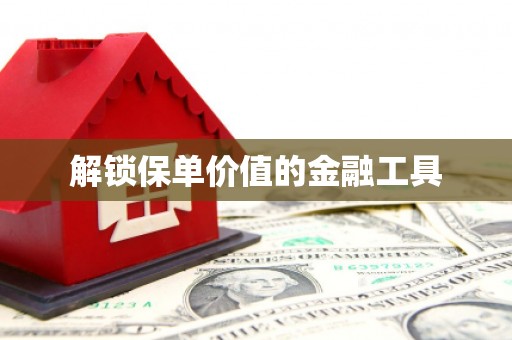 岳塘解锁保单价值的金融工具